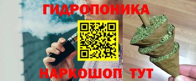 эйфоретик Дубна